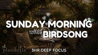 sunday morning with birdsong ☀️🐦 | soft morning focus | 3 Hours Deep Focus screenshot 3