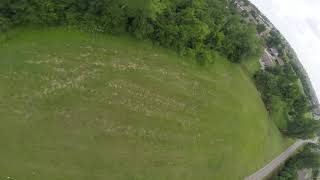 Will Flightone and a Cricket FPV RACEFLIGHT REVOLTOSD be able to save this QUAD