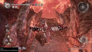 Nioh Max Damage 999,999 floor 968 (also without surge/paralyze/LW)