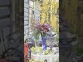 Бунин И.А Аудиокнига Антоновские яблоки
