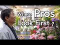 Ikebana Tips: How to Shop for Flowers Like a Pro