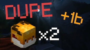 Unpatched Hypixel Skyblock Dupe Glitch (November 2025)