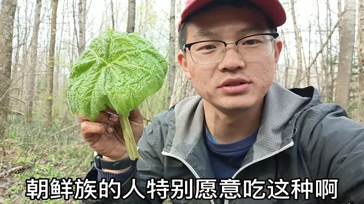 如果在山上迷路可以救你一名，直接吃就可以，知道是什麼嗎？ - 天天要聞