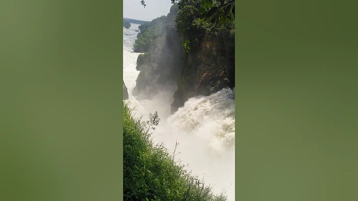 Murchison falls