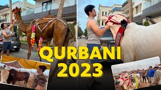 WENT TO COW MANDI WITH FAMILY & FRIENDS | EID-UL-ADHA SPECIAL | 2023