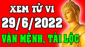 Tử vi 12 con giáp ngày 29/6/2022 - Xem Vận Mệnh, Tài Lộc, Công Việc, Sự Nghiệp, Tình Duyên, Sức Khỏe
