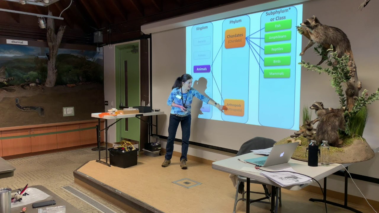 camera iphone 8 plus apk Arthropods 2019