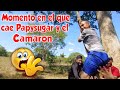 QUE GRAN CAIDA DE Papysugar y el Camarón😰 WOW DIANA YA AMEN4SA A ARMANDO Y LO DEJA QUIETO. Parte 10