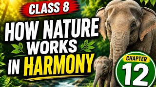 How Nature Works in Harmony (Chapter 12) 🌿 | Class 8 Science | Easy Explanation