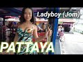 Pattaya4kladyboy jom soi 61  spider girl bar