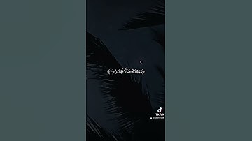 سورة: الضحى/ماهر المعيقلي 🤍