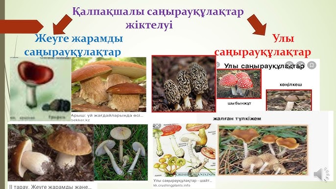 Жапон қыздарының үстелінің астында трусики бар