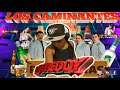 Los Caminantes Mix | Dj Freddy rmx Gt | Rancheras  para pistear