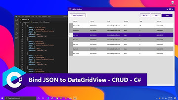 Binding JSON file to DataGridView - INSERT, UPDATE,DELETE - CRUD - C#