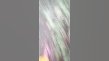 سورة الفاتحة بصوت عذب 🌷🌷❤❤