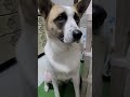 雫がキラリとこぼれ落ちた