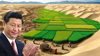 Chinese Scientists Turn 10.000 Square Meters of Desert into Rice Fields, Astonishing the USA