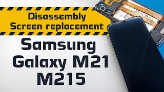 Samsung Galaxy M21 M215 Disassembly And Screen Replacement Youtube