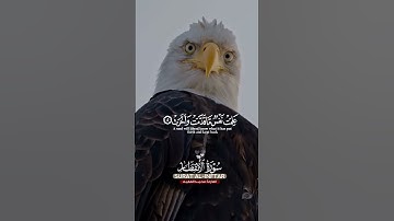 سورة الإنفطار#محمد_الفقيه #تلاوة_خاشعة #قرآن #تلاوات