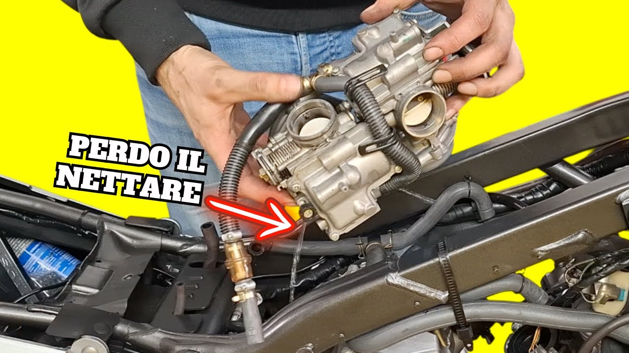 LA HONDA TRANSALP HA UN PROBLEMA BELLO GROSSO