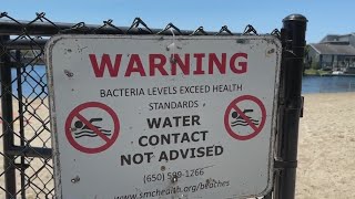 Foster City beaches get failing grade over high bacteria levels