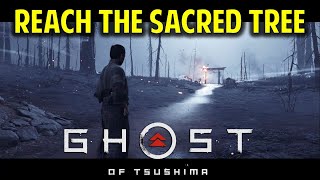 Reach the Sacred Tree Without Being Seen & Investigate Further | Honor and Ash | Ghost of Tsushima