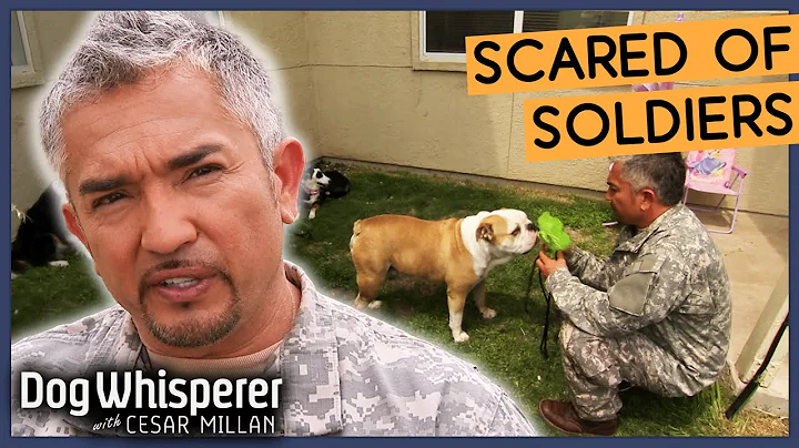 Tragic Rescue Dog Is Terrified Of Men In Army Uniforms 😭 | S8 Ep 4 | Dog Whisperer With Cesar Millan