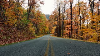 4K HDR Autumn Drive: Blue Ridge Parkway (Driving Ambience & Scenic Photo Stops)