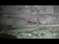 RAT PEST CONTROL - INSTANT LIGHTS OUT HEADSHOTS