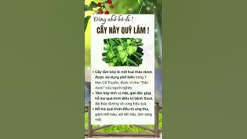 Cây tầm bóp có chữa được bệnh Gout không? #shorts #chamsocsuckhoe