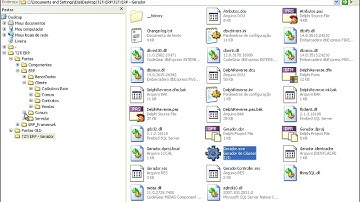 T2Ti ERP - Delphi - Gestão Contratos - Video Aula 05 - Tipo Serviço