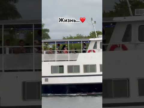 Жизнь… #life #жизнь #цитаты #мотивациянауспех #успех #мышление #природа #дисциплина #саморазвитие