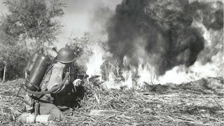 Por Que 92% Dos Operadores De Lança-Chamas Morreram Em Iwo Jima