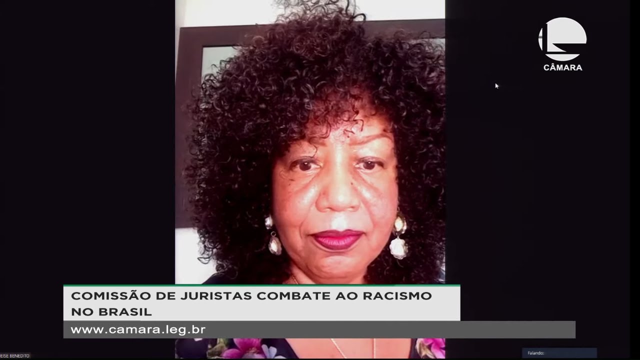 Comissão de Juristas Combate ao Racismo - debate sobre legislação criminal - 25/03/2021