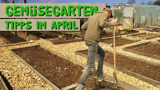 Arbeiten im Gemüsegarten im April  Tipps für Erbsen, Erdbeeren, Beetumrandungen, Broadfork, uvm.