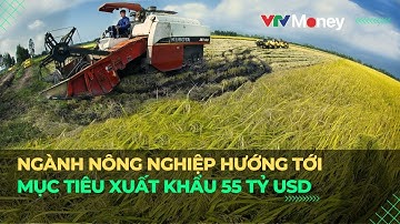 Ngành nông nghiệp hướng tới mục tiêu xuất khẩu 55 tỷ USD | VTVMoney