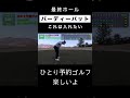 意地のバーディーパット【50代・アマ・男性】ひとり予約ゴルフでの出来事