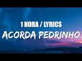 Jovem Dionisio - ACORDA PEDRINHO (1 HORA) Lyrics | 1 HOUR