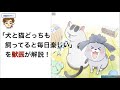 【獣医の見解】アニメ「犬と猫どっちも飼ってると毎日楽しい」を獣医が解説してみた！