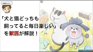 【獣医の見解】アニメ「犬と猫どっちも飼ってると毎日楽しい」を獣医が解説してみた！