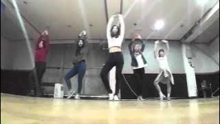 EXID - Hot Pink Dance Practice