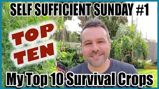 We're kicking off our first self sufficient sunday by reviewing my top
ten list for survival staples you should be growing in your garden to
become less reli...