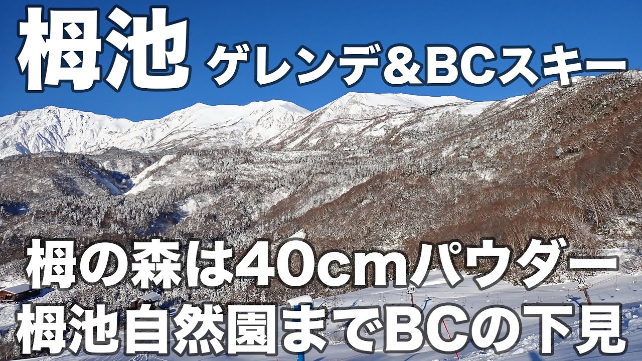 Tsugaike December 6, 2025 Slopes & BC Skiing Tsuga no Mori is 40cm