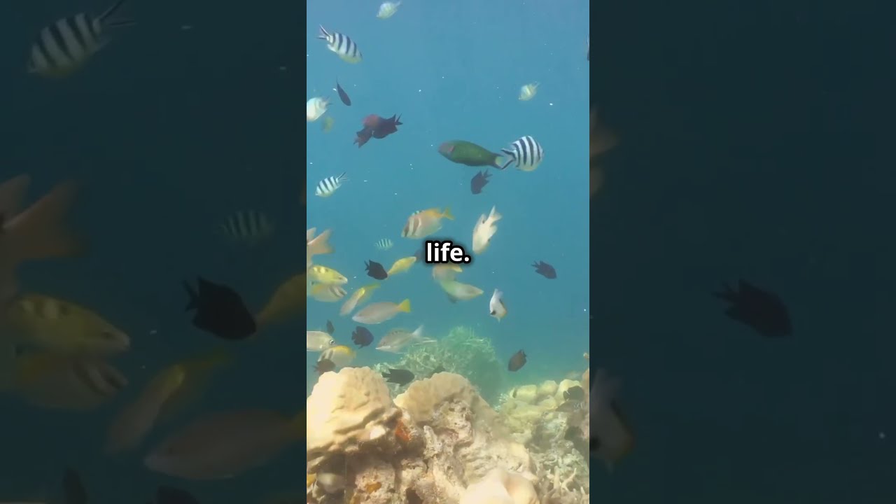  Elnidopalawan Visitphilippines Philippines Letstravel