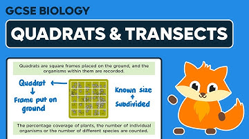 Sampling: Quadrats & Transects