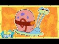 Traductor de mascotas | Bob Esponja en Español