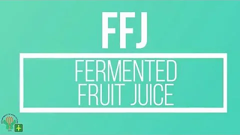 How to make Fermented Fruit Juice for fertilizer