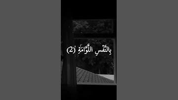 لا أقسم بيوم القيامة = سورة القيامة = #سيد_سعيد #quran