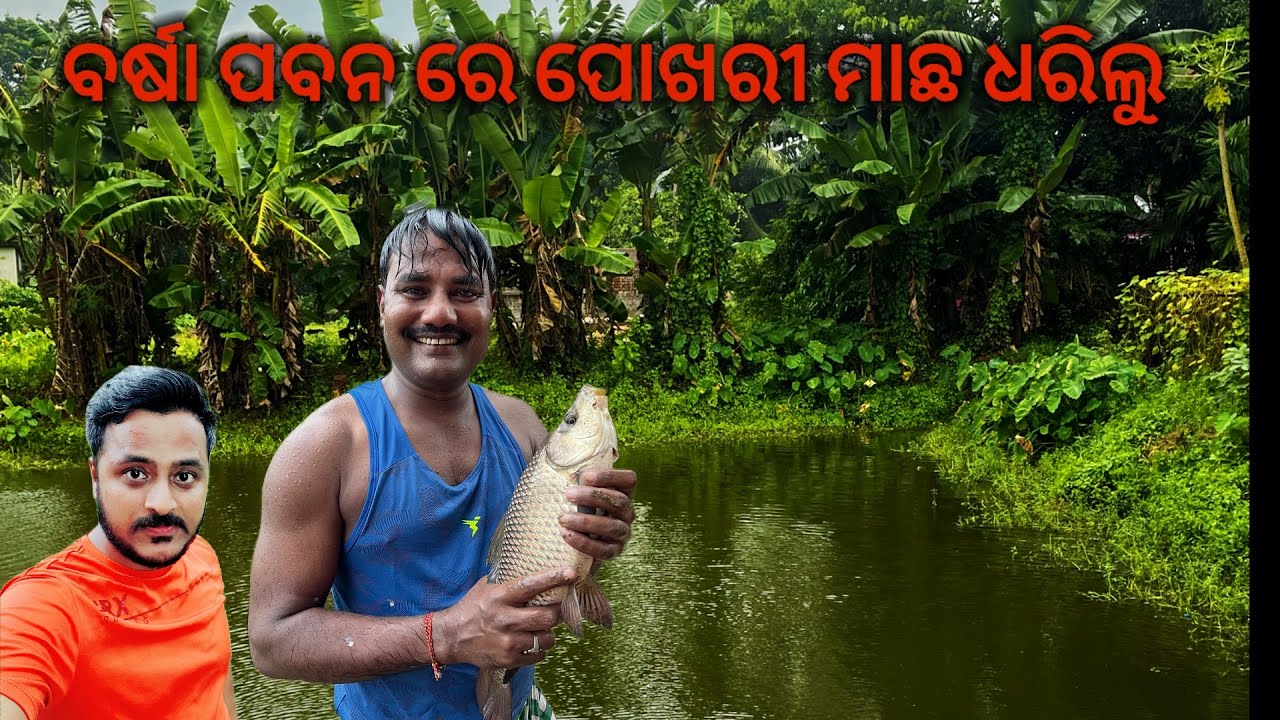 Catching Fish in the Rain || ବର୍ଷା ପବନ ରେ ପୋଖରୀ ମାଛ ଧରିଲୁ ||