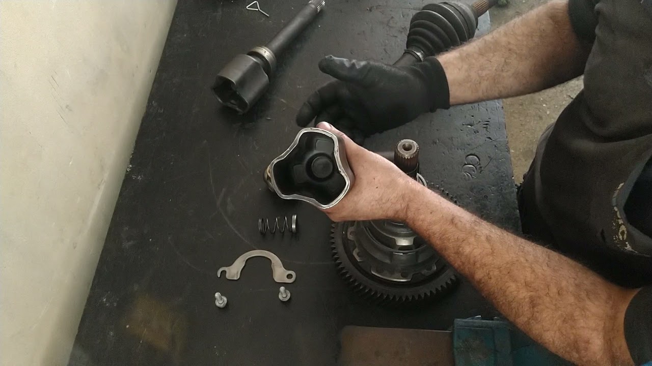 Tulipa e Trizeta - Peugeot e Citroën